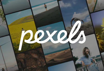 Pexels - 免费素材图片与视频