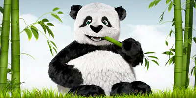TinyPNG – 智能压缩 WebP、PNG 和 JPEG 图片